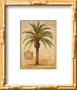 Island Palm Detail by Chad Barrett Limited Edition Print