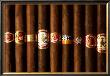 Quintessential Cigar by Allen Prier Limited Edition Print