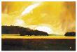 Yellow Storm At The Lake by Judith D'agostino Limited Edition Pricing Art Print