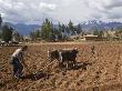 Farmer Plowing Fields With Oxen, Highlands, Peru by Dennis Kirkland Limited Edition Print