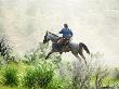 Cowgirl Riding Horse And Herding At Horse Roundup, Malaga, Washington, Usa by Dennis Kirkland Limited Edition Print