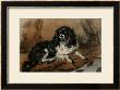 A King Charles Spaniel by Edwin Henry Landseer Limited Edition Print