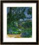 Blue Landscape, 1904-1906 by Paul Cezanne Limited Edition Print