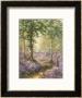 The Bluebell Wood by Alfred Fontville De Breanski Limited Edition Pricing Art Print