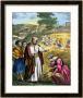 Ruth In The Field Of Boaz, From A Bible Printed By Edward Gover, 1870S by Siegfried Detler Bendixen Limited Edition Print