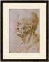 Head Of A Man Seen In Profile by Leonardo Da Vinci Limited Edition Print