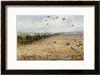 Partridges At Sandringham by Archibald Thorburn Limited Edition Print