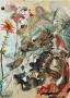 Dc Paradis 25 - St Jacques Et L'esperance by Salvador Dali Limited Edition Pricing Art Print