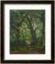 Path In The Forest, 1864 by Henri Joseph Constant Dutilleux Limited Edition Print