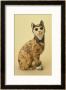 Tin-Glazed Earthenware Figure Of A Cat by Emile Galle Limited Edition Print