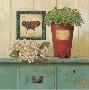 Garden Cabinet by Arnie Fisk Limited Edition Pricing Art Print