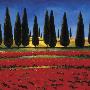 Tuscan Flower Field by Kate Hill Limited Edition Pricing Art Print