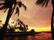 Palm Trees Over The Sacred Bay On The South Kona Coast, Puuhonua O Honaunau Nat. Park, Hawaii, Usa by Ann Cecil Limited Edition Print