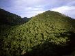 El Cielo Biosphere Reserve, Mexico by Patricio Robles Gil Limited Edition Print