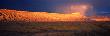 Mt. Garfield And Book Cliffs, Colorado by Robert Kurtzman Limited Edition Print