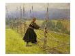 Telemark Girl, 1888 (Oil On Canvas) by Erik Theodor Werenskiold Limited Edition Print