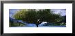 Lake Wakatipu, Queenstown, Otago Region, South Island, New Zealand by Panoramic Images Limited Edition Print