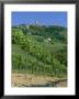 Vineyards Below The Town Of San Gimignano, Tuscany, Italy, Europe by Gavin Hellier Limited Edition Print