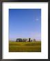 Stonehenge, Ancient Ruins, Wiltshire, England, Uk, Europe by John Miller Limited Edition Print
