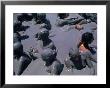 Taking A Mud Bath In The Crater Of Volcan De Lodo El Totumo Near Cartagena, Bolivar, Colombia by Krzysztof Dydynski Limited Edition Print