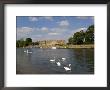 Swans And Sculls On The River Thames, Hampton Court, Greater London, England, United Kingdom by Charles Bowman Limited Edition Pricing Art Print
