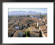 View South From Guinici Tower Of City Rooftops And Cathedral, Lucca, Tuscany, Italy by Richard Ashworth Limited Edition Print