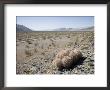 Death Valley National Park, California, Usa by Angelo Cavalli Limited Edition Print