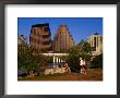 Relaxing In Butler Park East In Downtown Austin, Texas by Richard Cummins Limited Edition Print