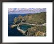 Mullion Cove, Cornwall, England, United Kingdom by Roy Rainford Limited Edition Print