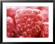 Raspberries by Ruth Brown Limited Edition Print