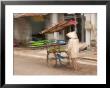 Mobile Fruit Vendor, Vientiane, Laos by Gavriel Jecan Limited Edition Print