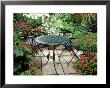 Metal Table And Chairs On Patio Backed By Pots With Lilium Longifolium by Lynne Brotchie Limited Edition Print