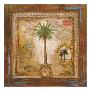 Coconut Palm by Elizabeth Garrett Limited Edition Pricing Art Print