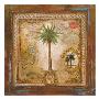 Coconut Palm by Elizabeth Garrett Limited Edition Print