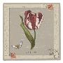 La Tulipe by Sophia Davidson Limited Edition Print