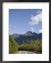Highway Winds Through The Mountains Of Vancouver Island by Taylor S. Kennedy Limited Edition Print
