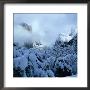 Winter Covers El Capitan And Bridal Vale Falls, Yosemite National Park, California, Usa by Wes Walker Limited Edition Print