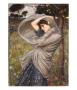 Boreas, 1903 by John William Waterhouse Limited Edition Print