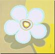 Pastel Flower Power Iv by Monica Kuchta Limited Edition Print