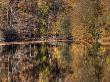 Bridge In Autumn Colours by Nejdet Duzen Limited Edition Print