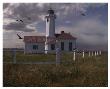 Point Wilson by Steve Hunziker Limited Edition Print