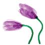 Delicate Purple Tulips by Richard Sutton Limited Edition Print