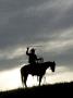 Silhouette Of Cowboy Swinging Lasso by Scott Stulberg Limited Edition Print