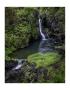 Hanawi Falls Hana Highway by Michael Polk Limited Edition Pricing Art Print