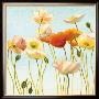 Just Being Poppies I by Shirley Novak Limited Edition Pricing Art Print