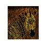 Golden Zebra by Thierry Bisch Limited Edition Print