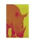 Pop Rhino by Thierry Bisch Limited Edition Pricing Art Print
