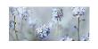 Forget-Me-Nots by Ian Winstanley Limited Edition Pricing Art Print