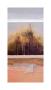Piece By Piece Summer by Danna Harvey Limited Edition Print