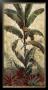 Exotic Palms I by Eduardo Moreau Limited Edition Pricing Art Print